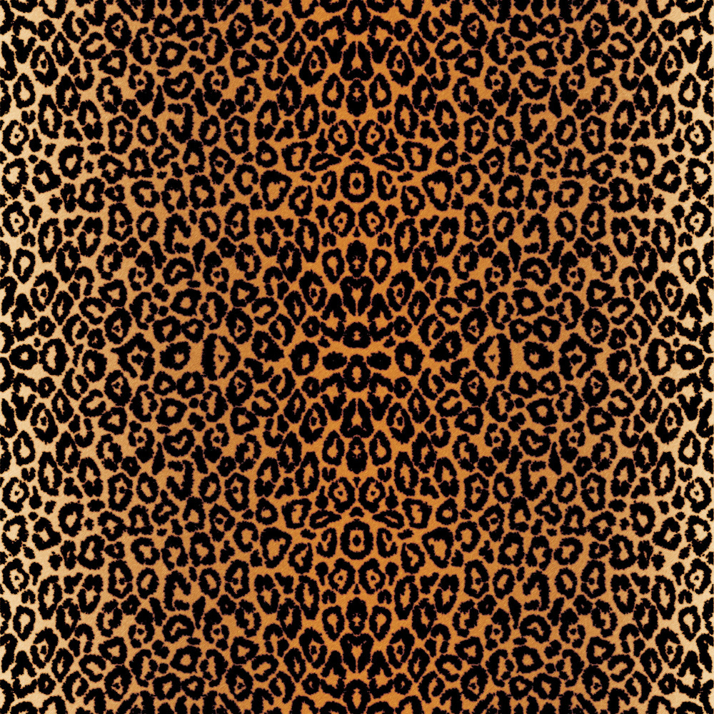 Cricut 2006772 Infusible Ink Transferfolie leopard